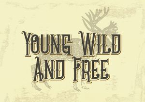 Chivel Mind - Vintage Font