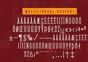 Medan Slab Condensed Slab Serif Font