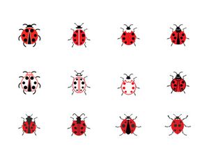 ladybird animal  vector logo symbol icon