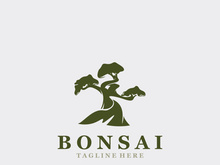 Bonsai Tree Logo Design template. vintage  illustration of aesthetic bonsai plants culture