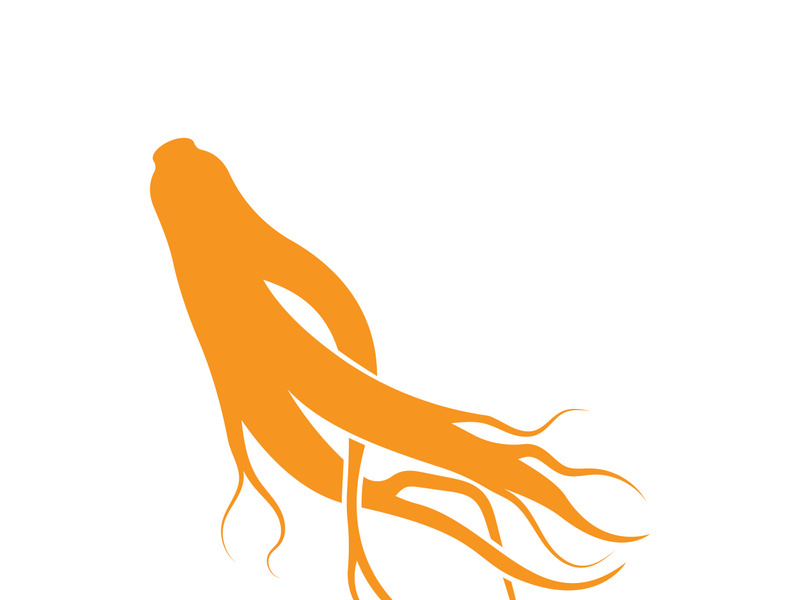 Ginseng logo design template and symbol icon vector illustration