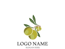 olive icon vector illustration design template