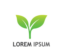 Natural green leaf logo design.