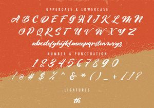 Vintage Style - Bold Script Font