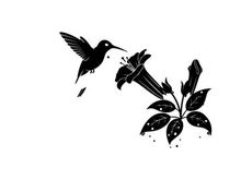 Silhouette of hummingbirds and flowers in flight