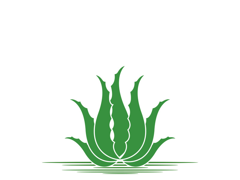 Aloe Vera logo icon design symbol beauty skin care