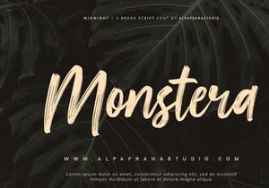 Midnight - Brush Script Font