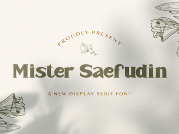 Mister Saefudin - Elegant Serif Font preview picture