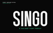 Singo | Sans Display Font