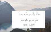 Thrifty Script