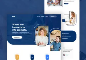 DP ll Landing Page Design V-3
