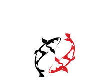 Koi fish logo template. Creative vector symbol