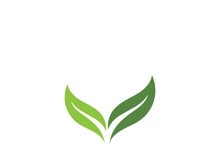Green leaf ecology nature element vector icon