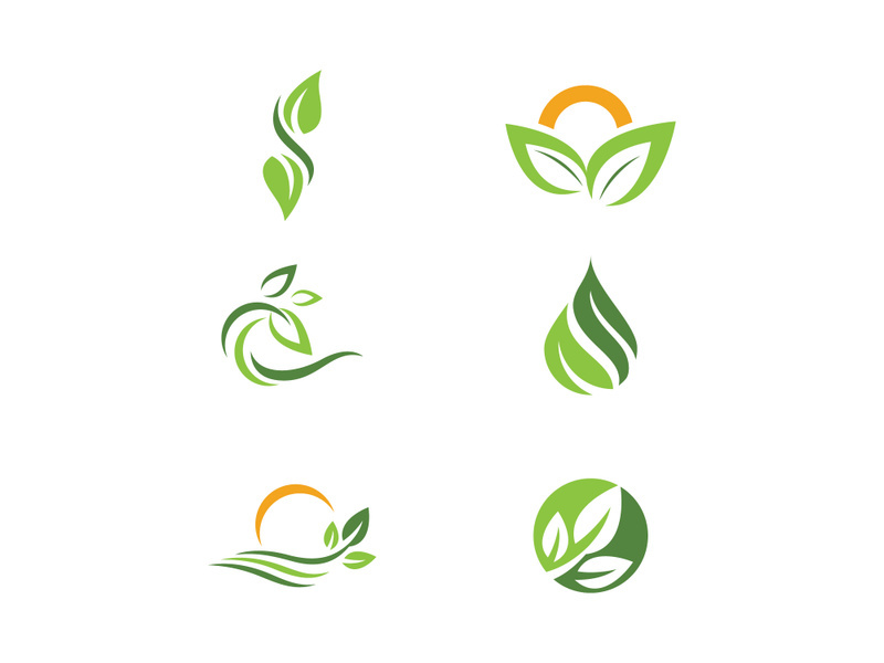 Green Tree leaf ecology nature element