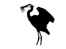 Silhouette of a heron building a nest with twigs and branches