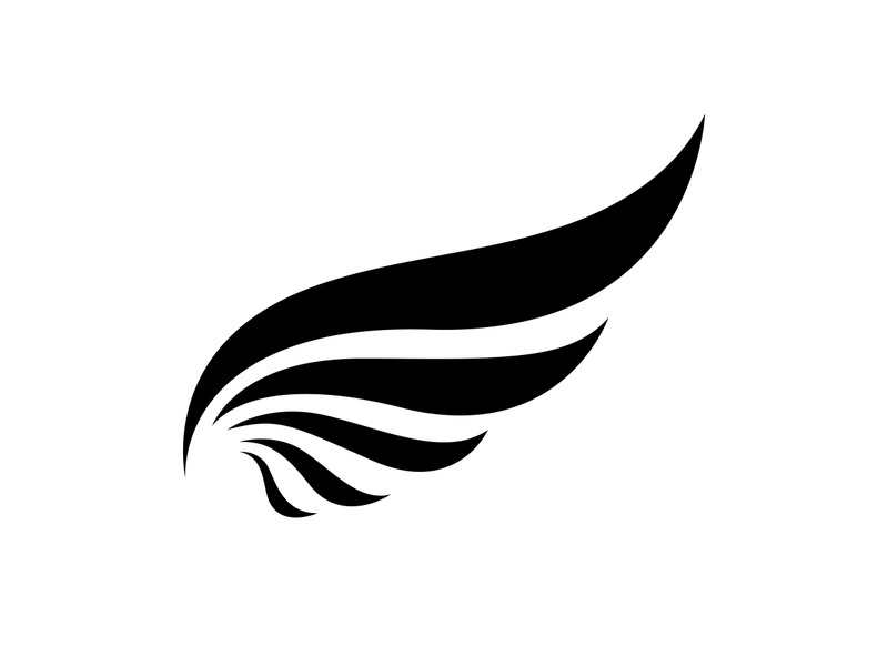 Black wing falcon bird logo