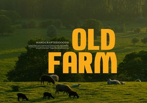 Worn Rural | Vintage Display