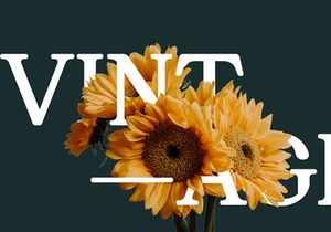 Gandia Display Serif