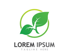 Natural green leaf logo design.