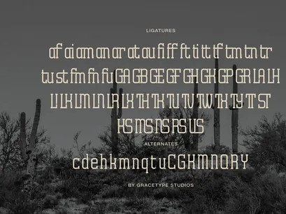 Archives Classic | Slab Serif Font