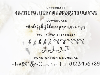Free Bungalow Script Font