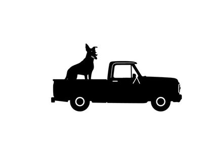Silhouette of a dog sitting in the back of a pickup truck