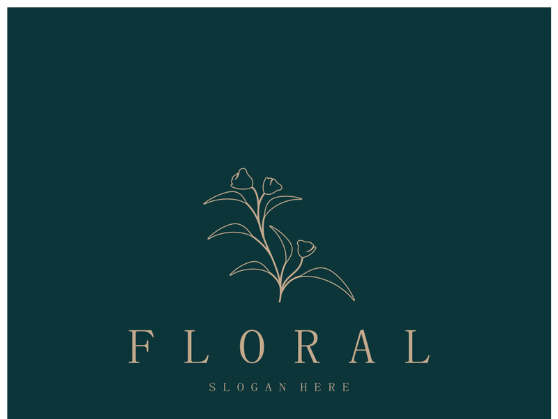 Elegant floral and leaf frame. Delicate botanical vector illustration for labels, spas, corporate identity, and wedding invitations