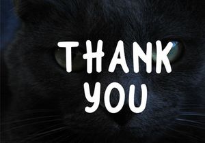 Black Cats