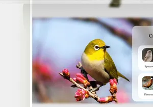 Birds Website Design-Free Glassmorphism-Responsive