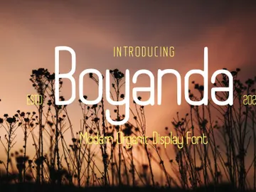 Boyanda - Modern Organic Display Font preview picture