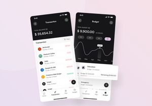 Paypay - Money Management Mobile and Saas App