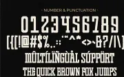 Varsity College - Vintage Slab Serif