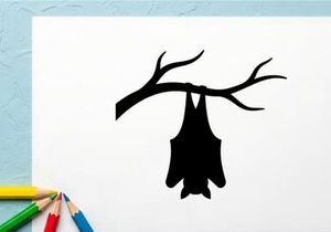 Silhouette of a Bat Hanging from a Tree Branch at Night