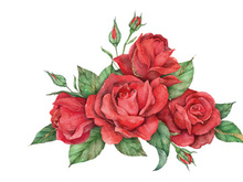 Vector Flower Watercolor Illustration