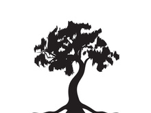 Root Leaf Family Tree of Life Oak Banyan Maple Stamp Seal Emblem Label logo design vector