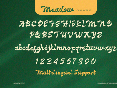Meadow - Groove Script Font