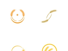 Organic wheat farm logo template.