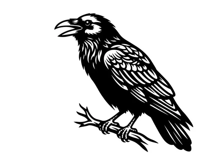 Detailed black and white illustration of a hawk with intricate feather patterns