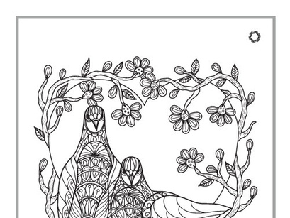 beautiful bird coloring pages