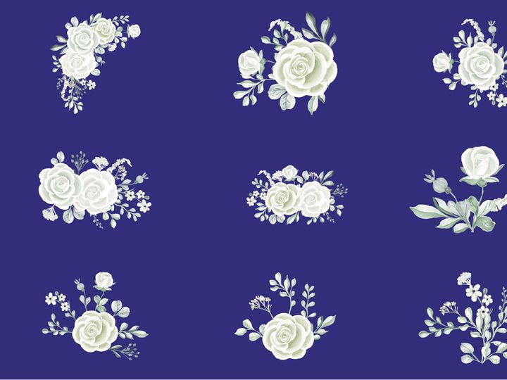 Vector Flower Watercolor Illustration