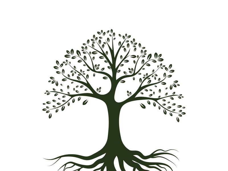 Root Leaf Family Tree of Life Oak Banyan Maple Stamp Seal Emblem Label logo design vector