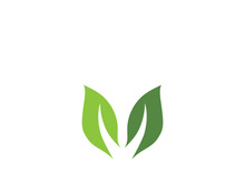 Green leaf ecology nature element vector icon