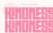 Kindness - Modern Sans Display Font