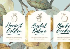 Delaghen - Handwritting Stylish Script Font