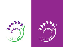 Fresh lavender flower logo vector flat design