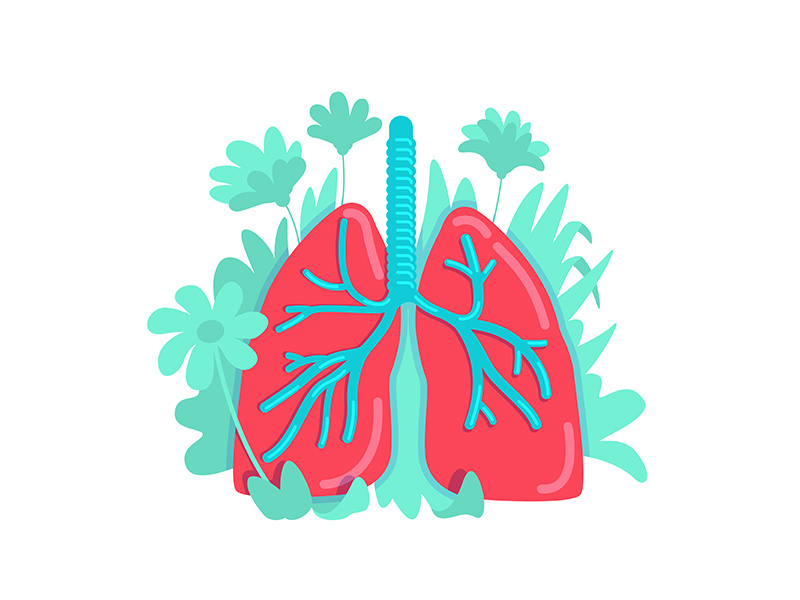 Anatomical lung flat concept vector illustration