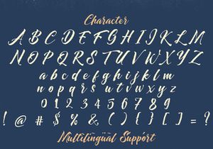 Dayden Batemisy - Brush Script Font