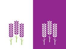 Fresh lavender flower logo vector flat design