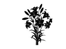 Silhouette of a bouquet of lilies on a white background
