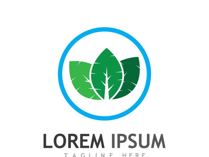 Natural green leaf logo design.